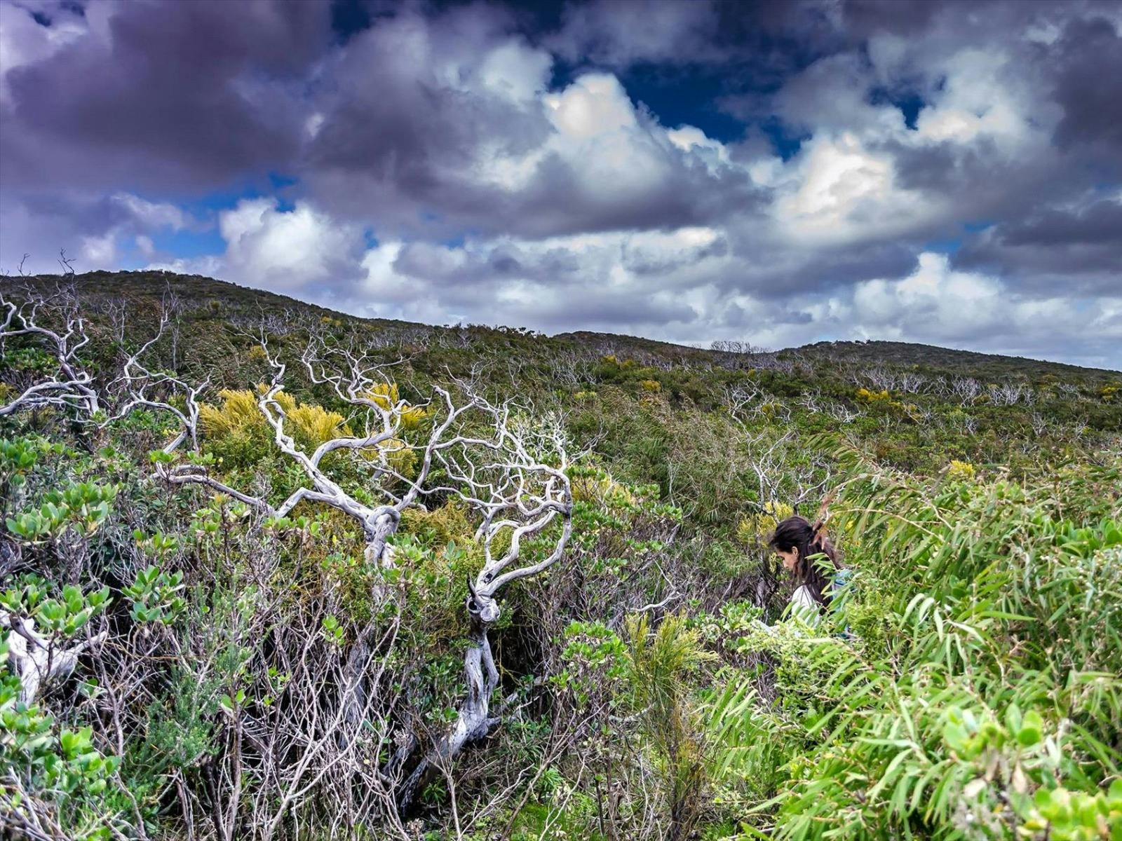 Edgewalkers, Western Australia