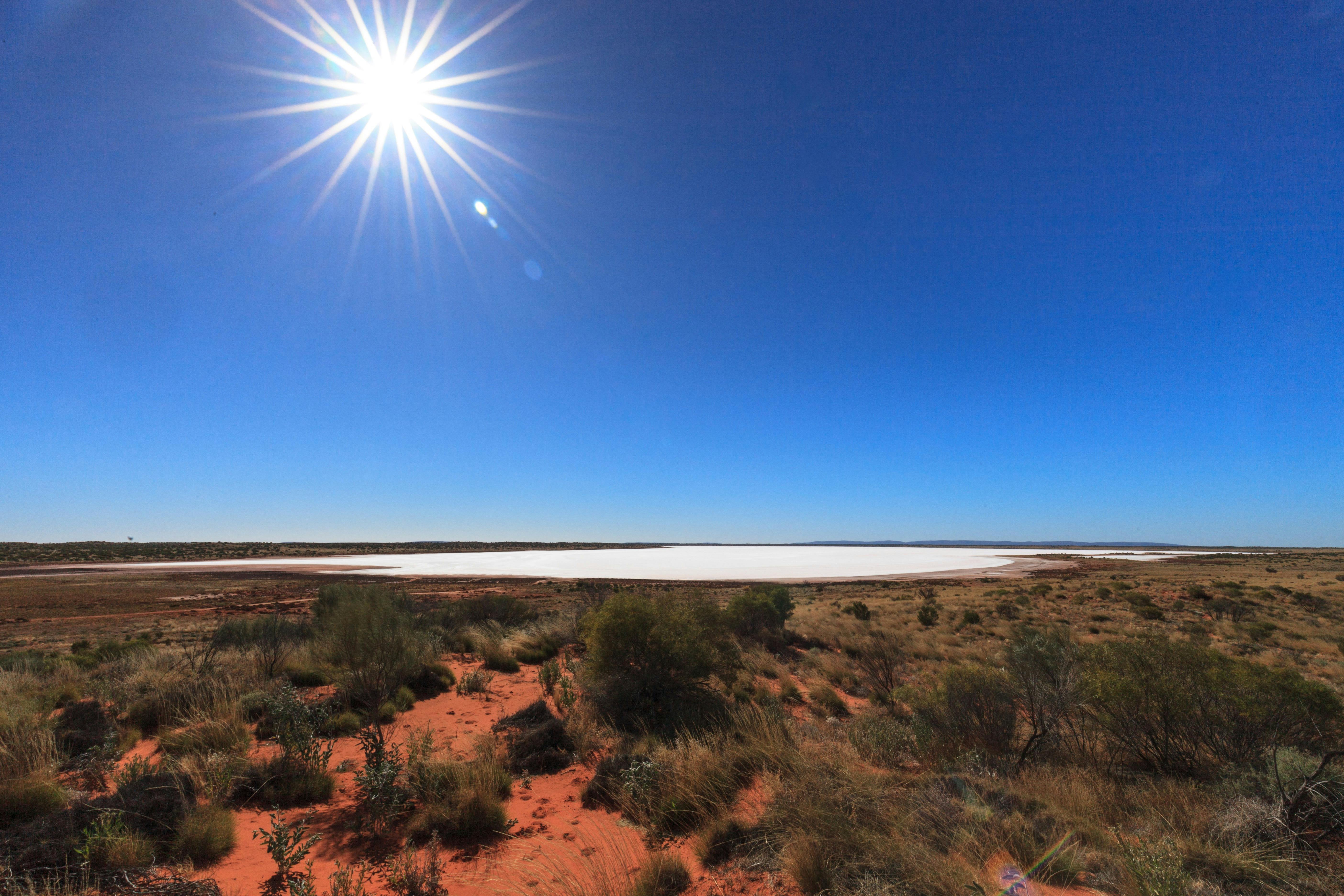Curtin Springs