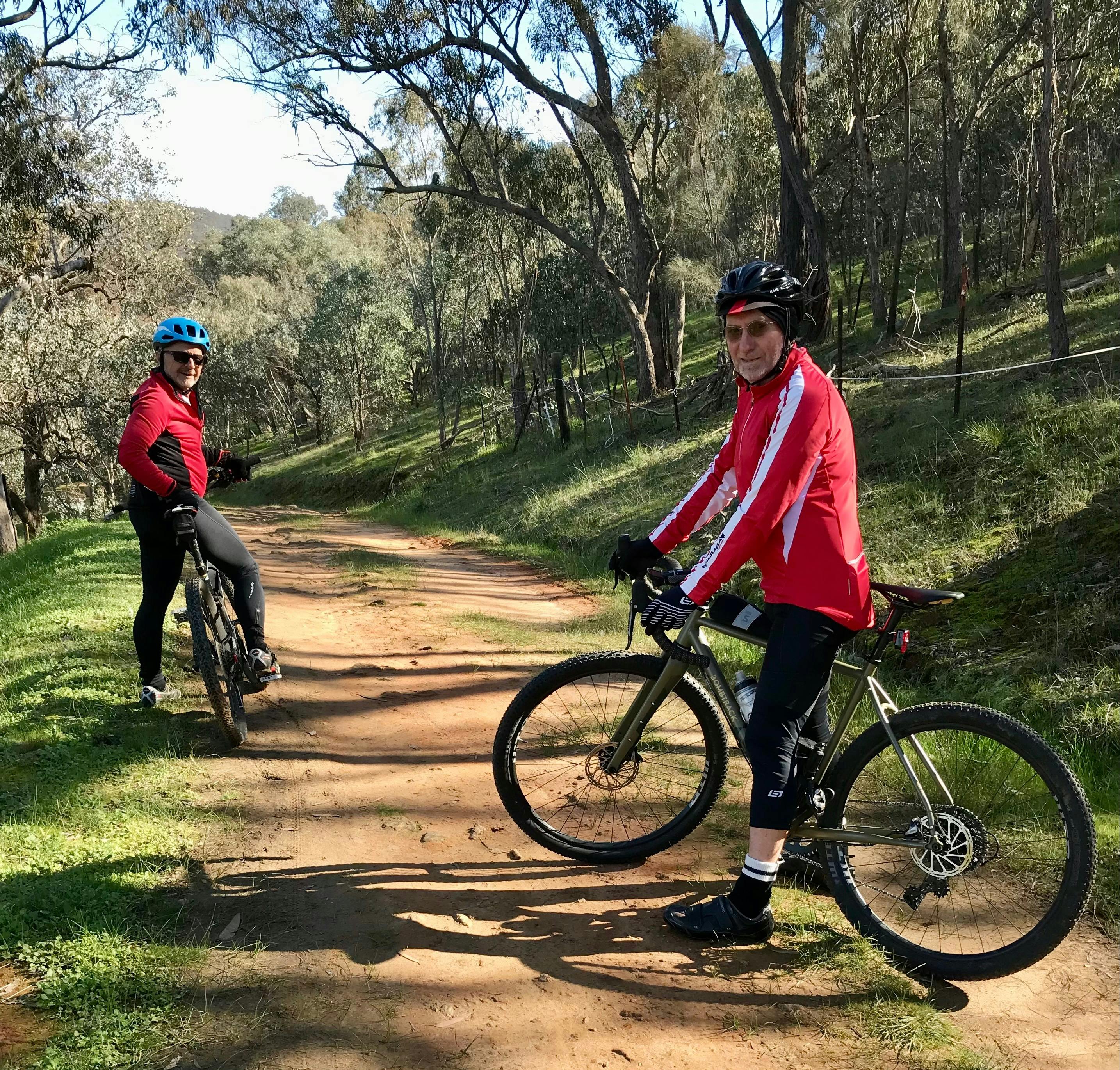 Two cyclists stopped on gravel road in forest dressed in winter greenery
