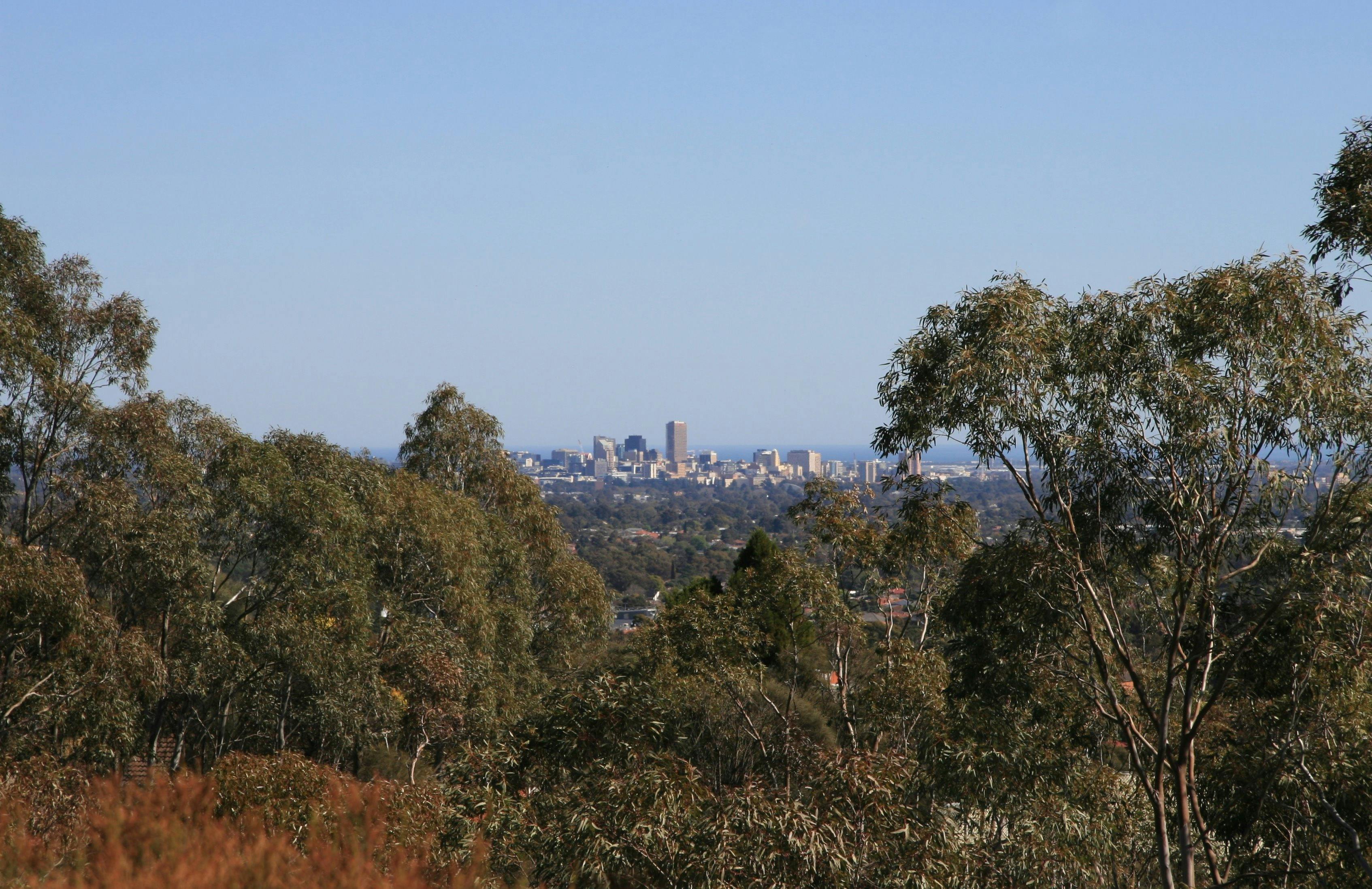 Black Hill Conservation Park