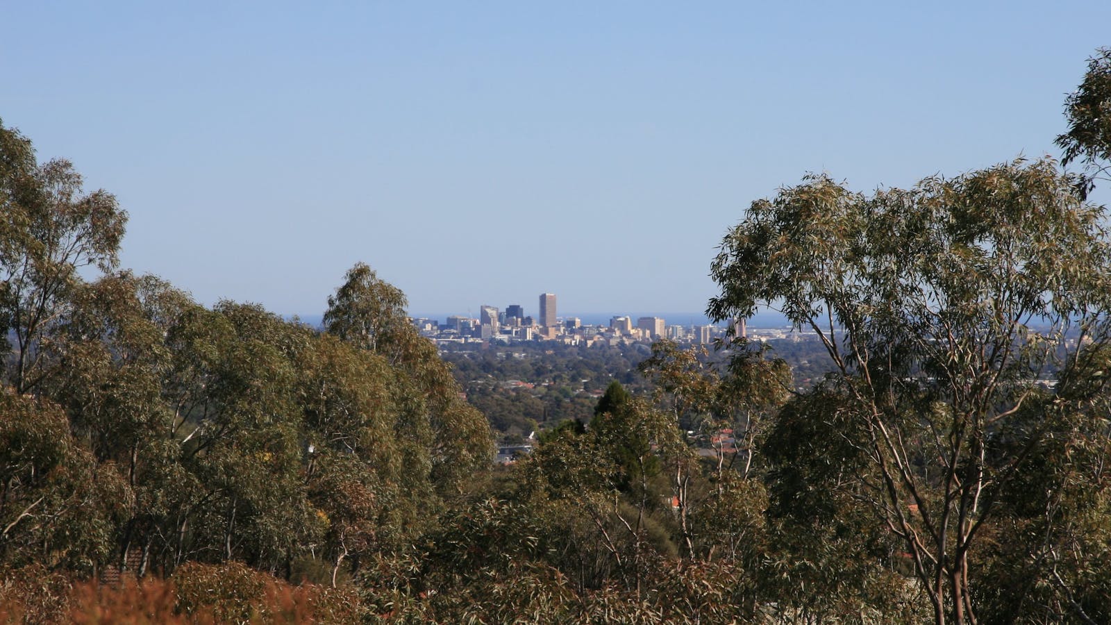Black Hill Conservation Park