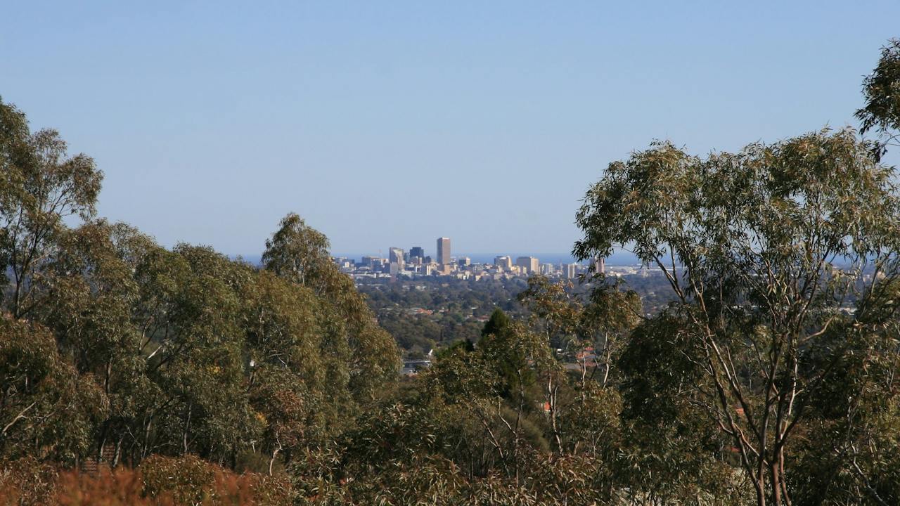 Black Hill Conservation Park
