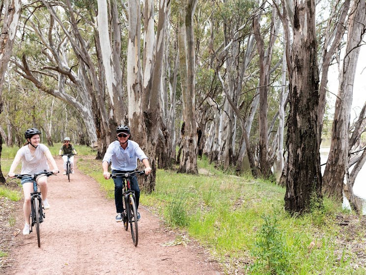 Biking on Bidgee Riverside Trail