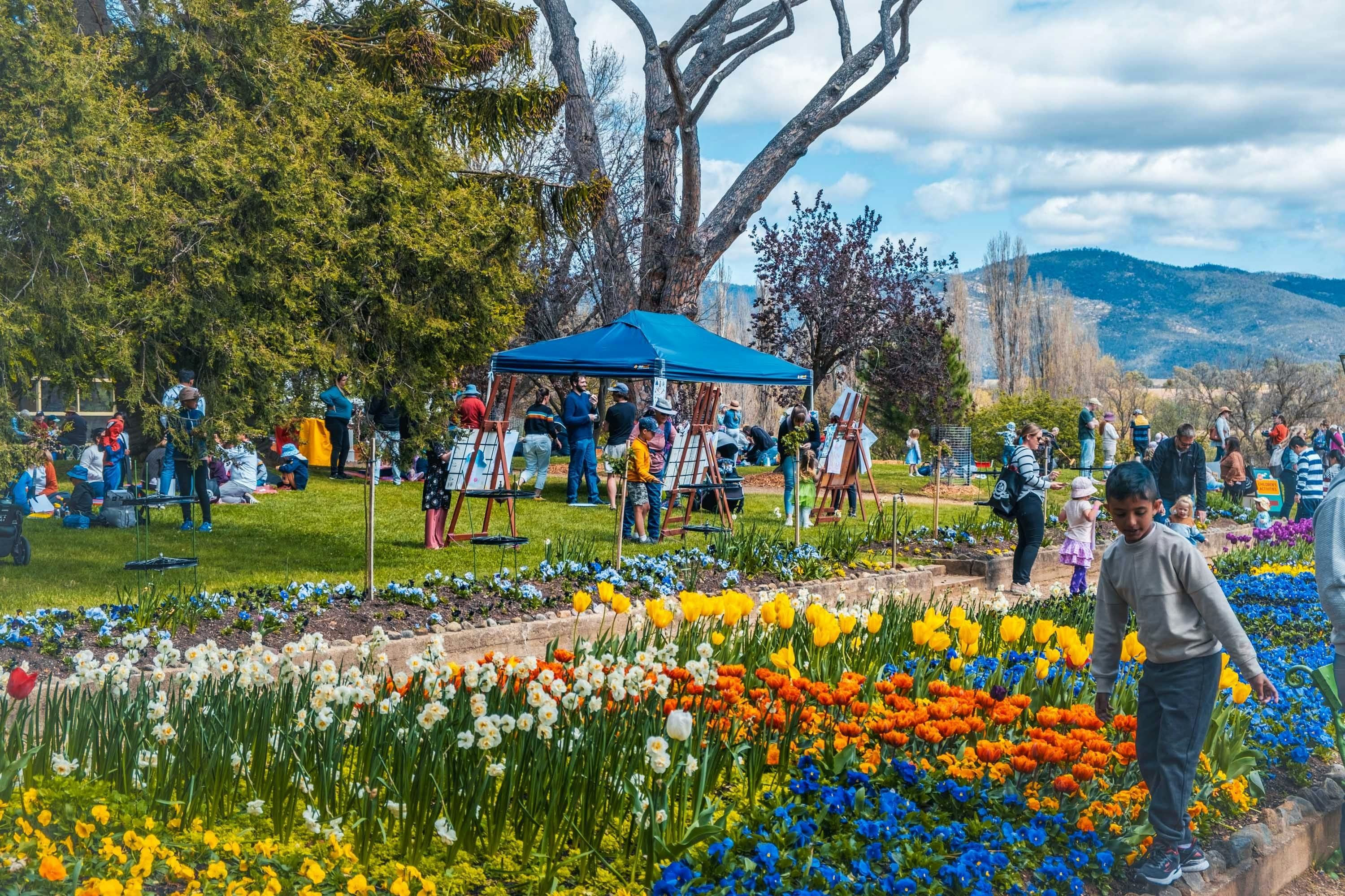 Families explore Lanyon Homestead, painting and enjoying tulips in bloom.