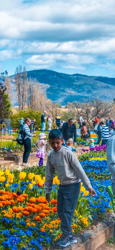 Families explore Lanyon Homestead, painting and enjoying tulips in bloom.