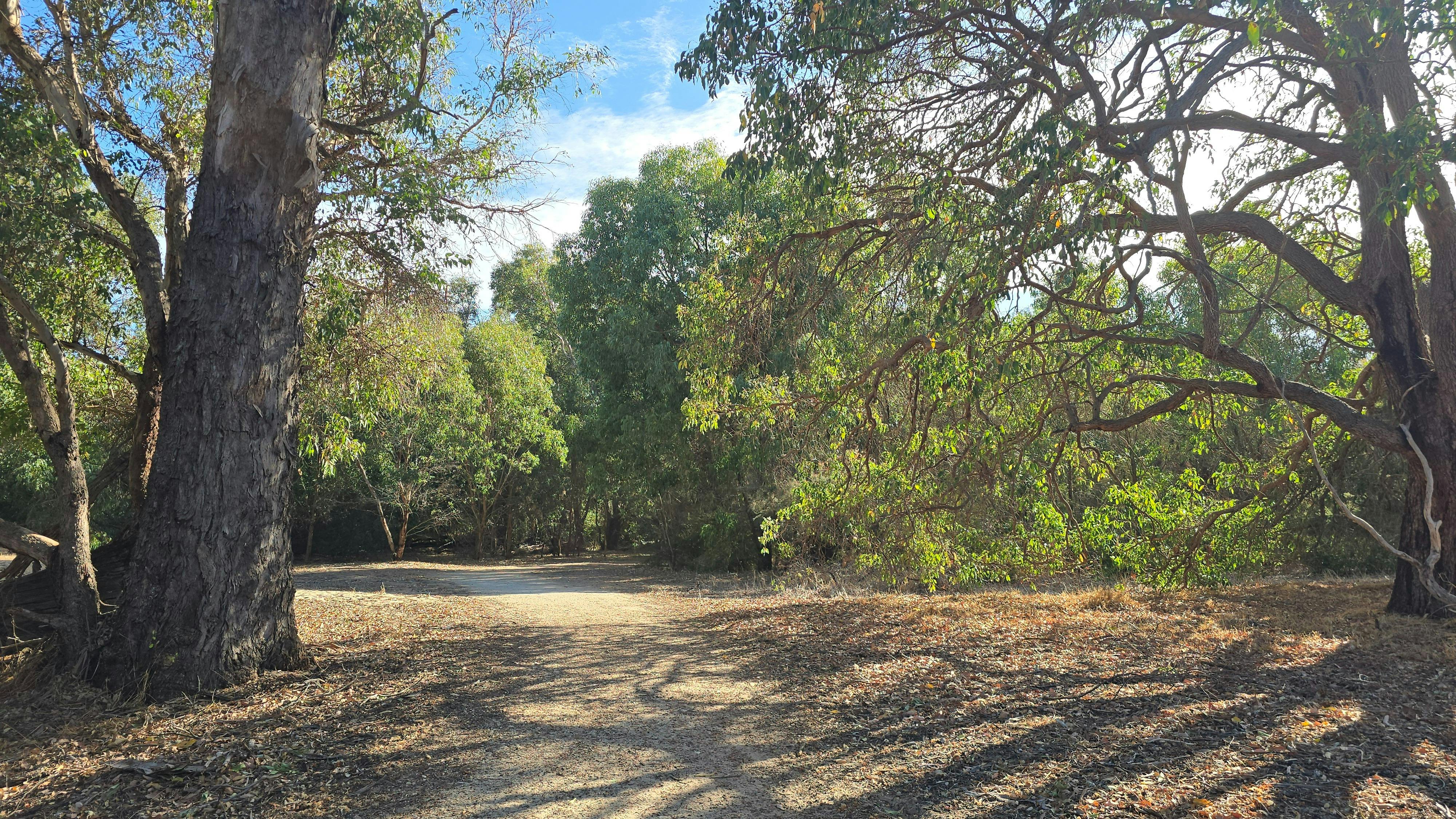 Tamworth Wetlands Loop Trail