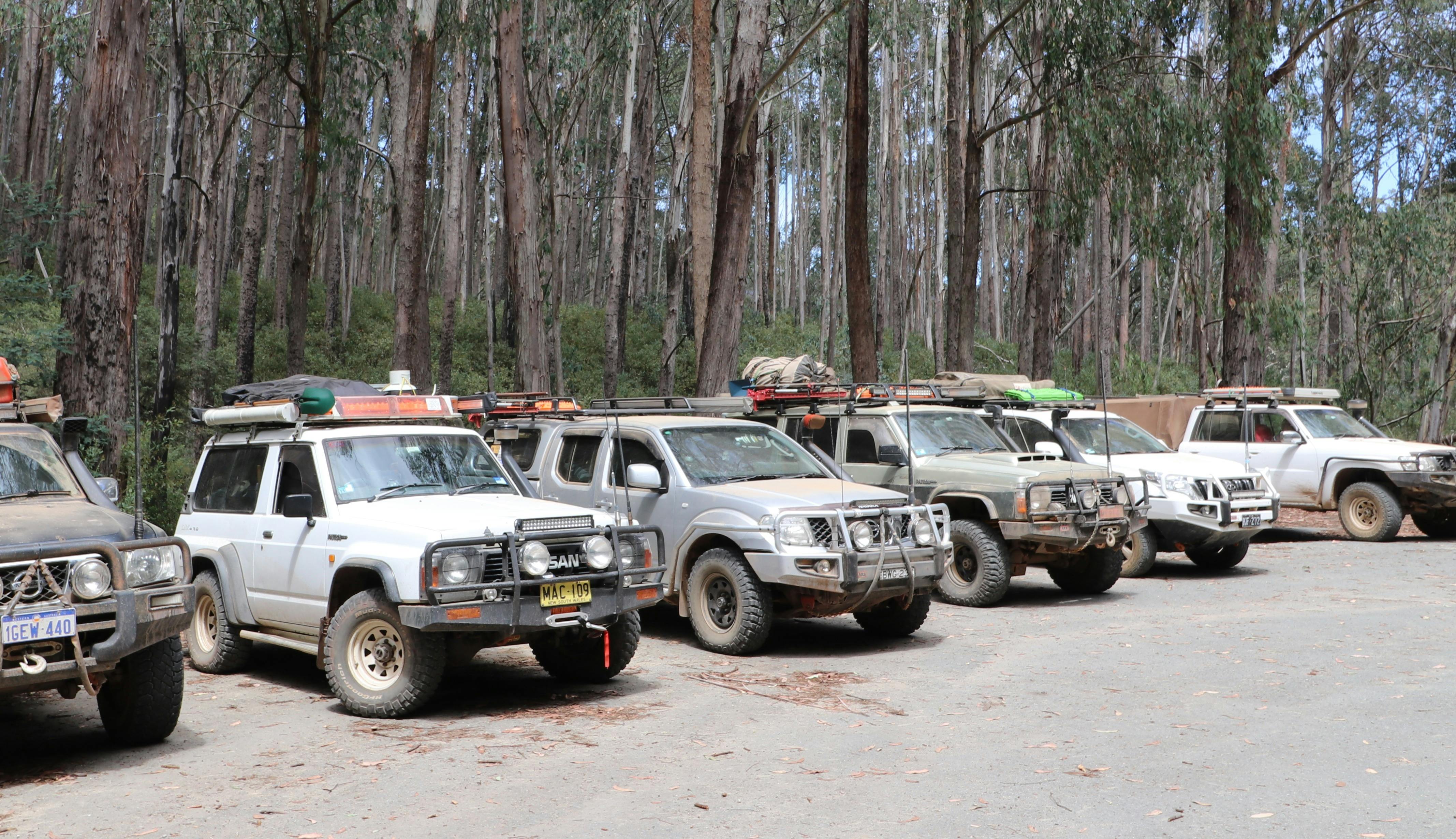 Row of Nissan Patrol tagalong group cars parked in front of trees.