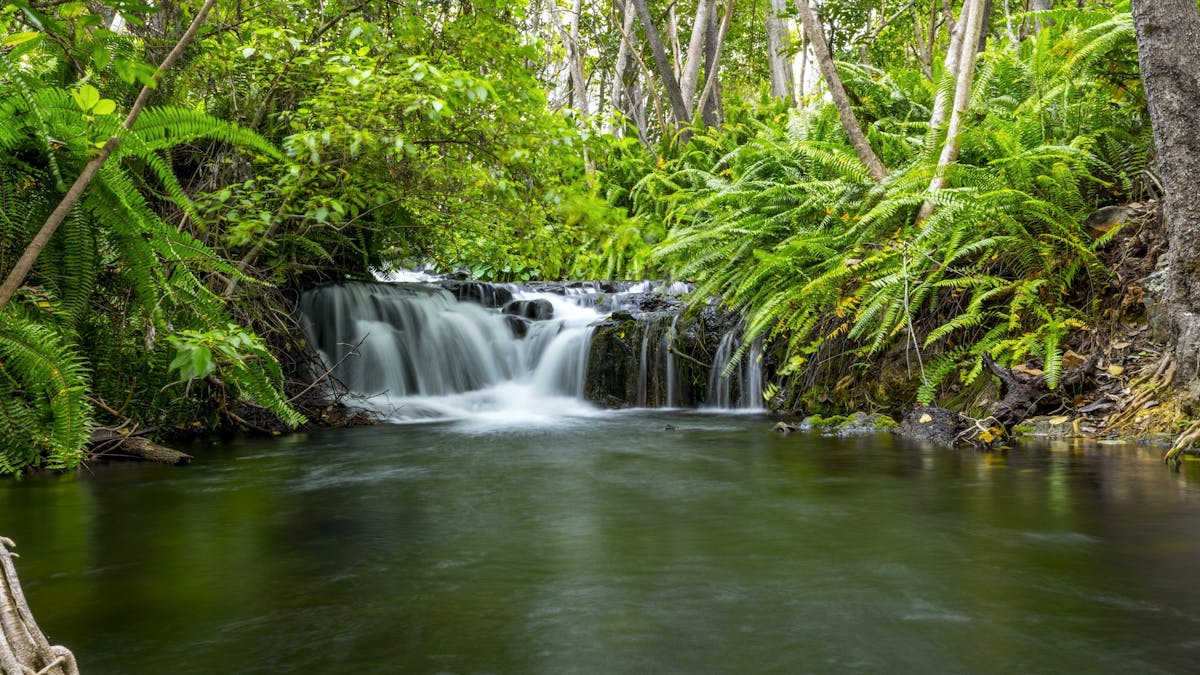 Waterhole