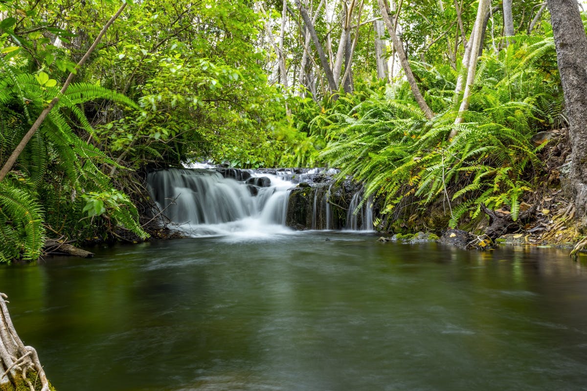 Waterhole