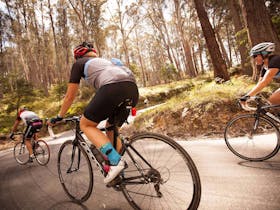 7 Peaks Ride - Mt Buller