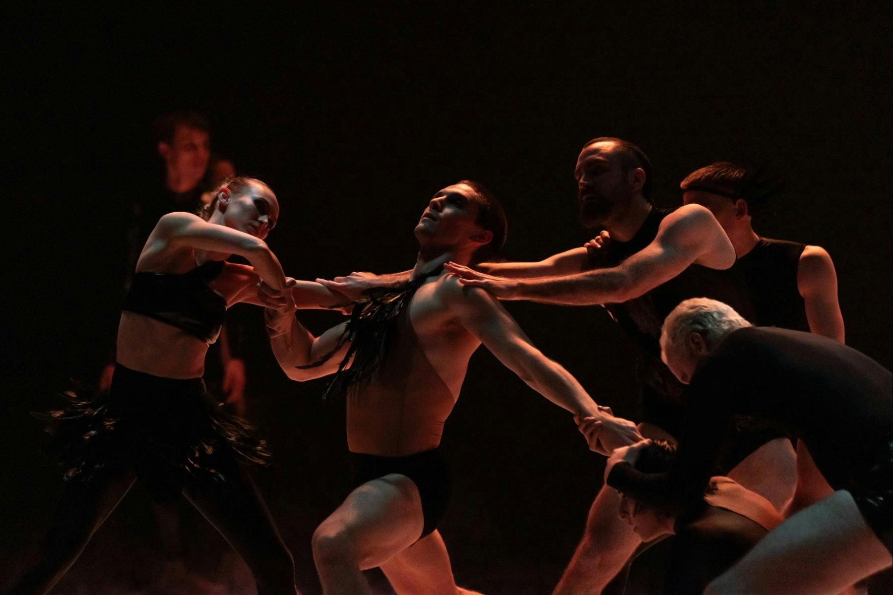 Sydney Dance Company Engine