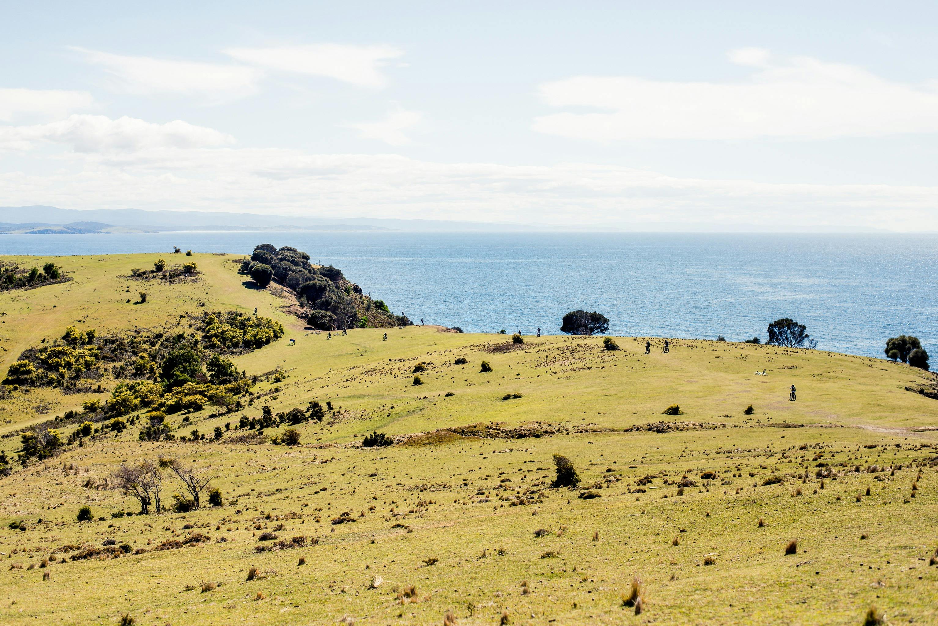 Marsupial lawns  create a bike riders heaven