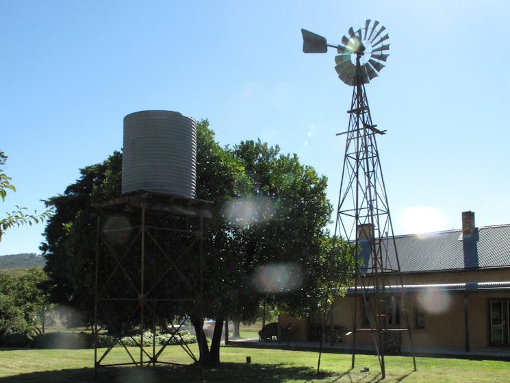 Cooradigbee Fossil Tours