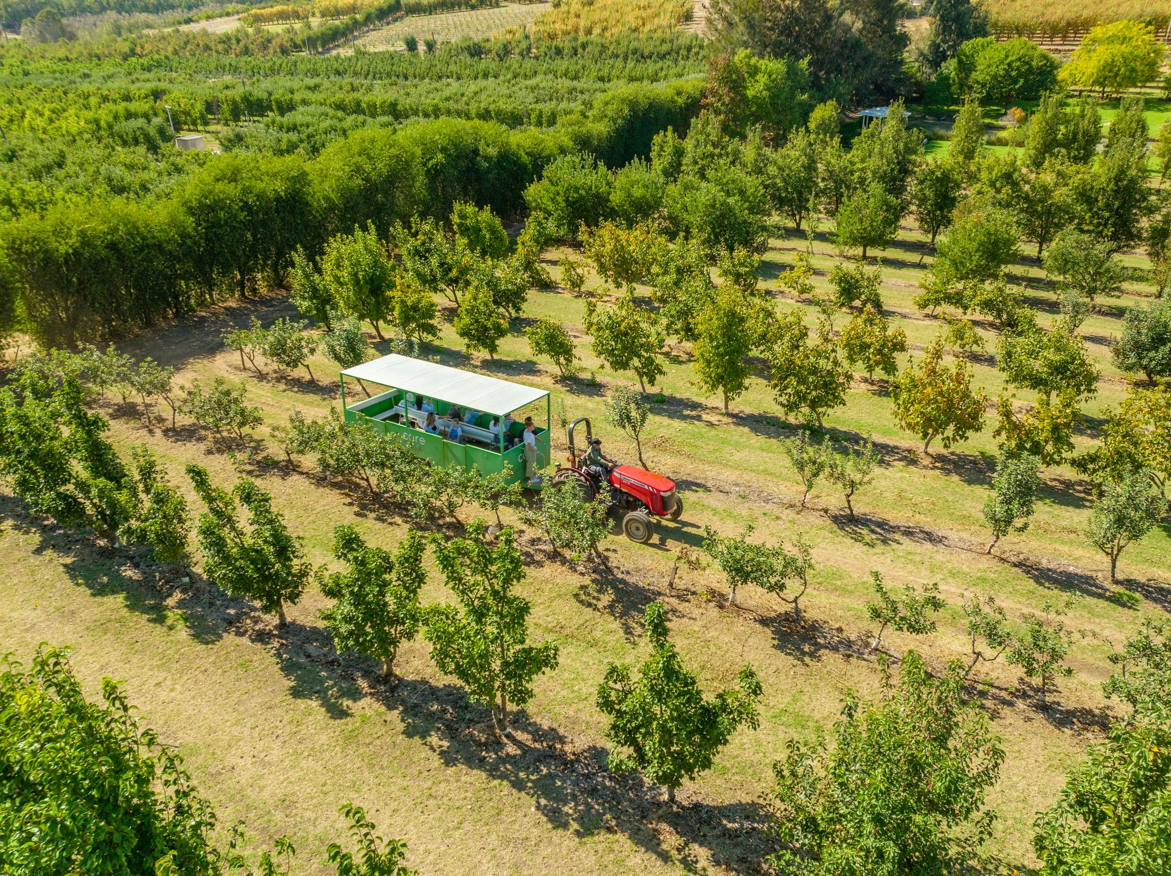 Core Cider, Perth Hills