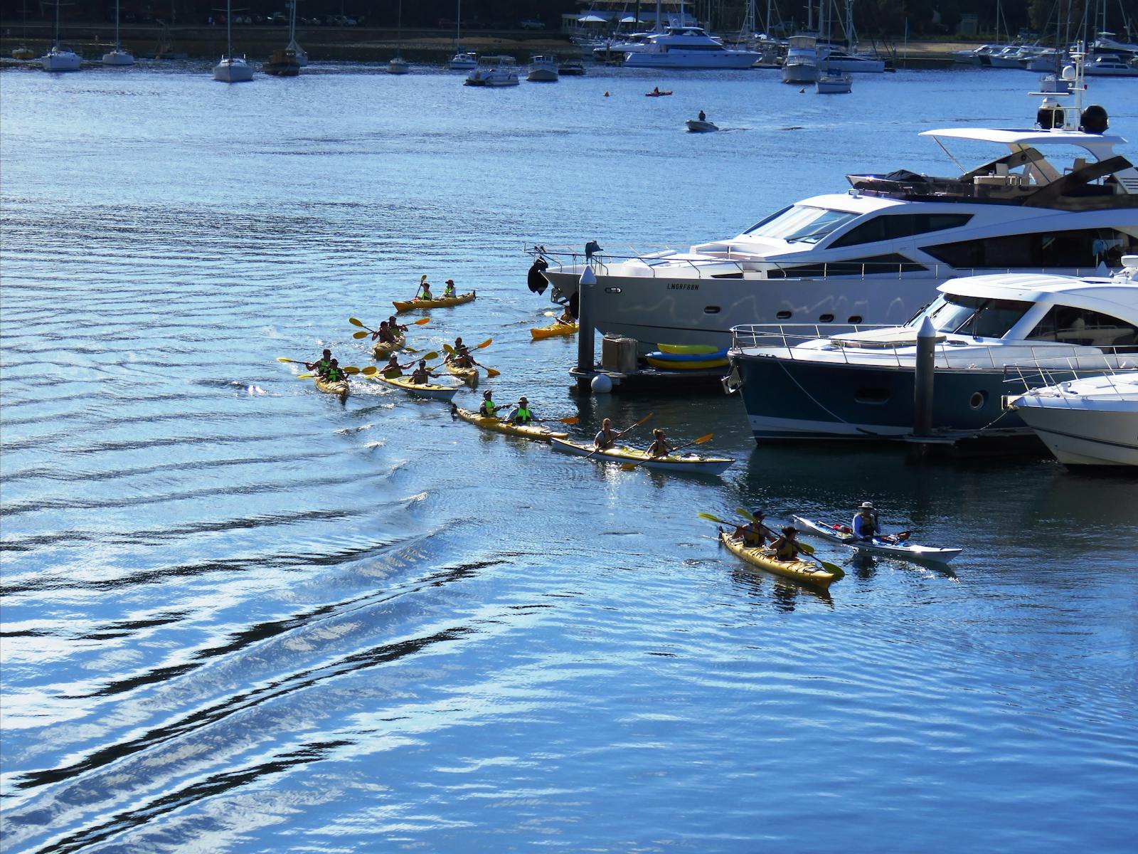 Kayaking Guided Experience