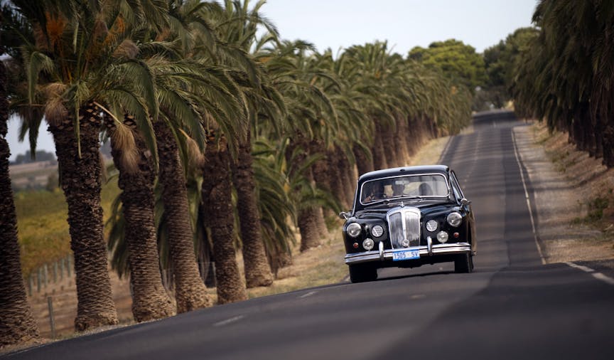 Barossa Daimlers Ultimate Tour