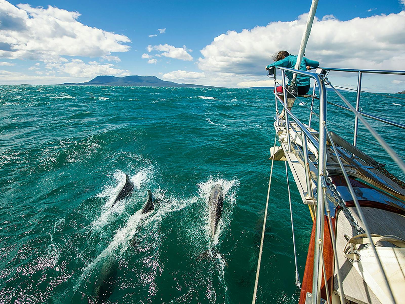 Wineglass Bay Sail Walk Dolphins