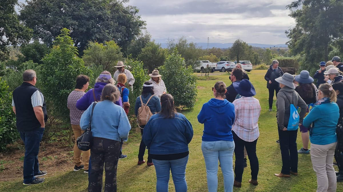 Educational tour and talk around the native gardens