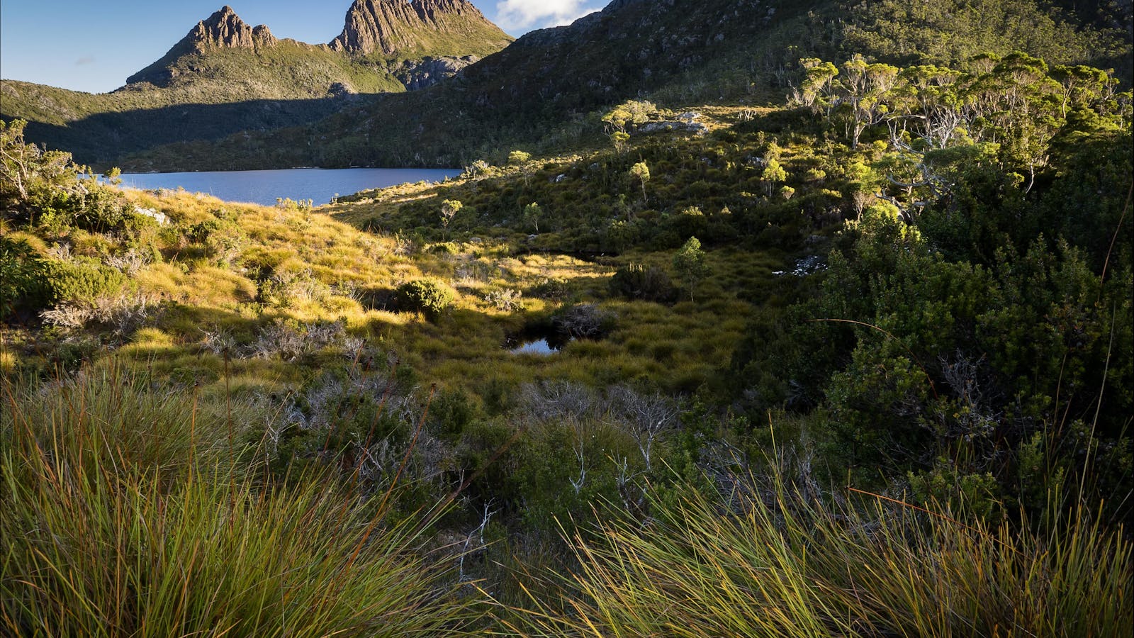 Cradle Mountain golden afternoons - Cradle Mt Photo Workshops