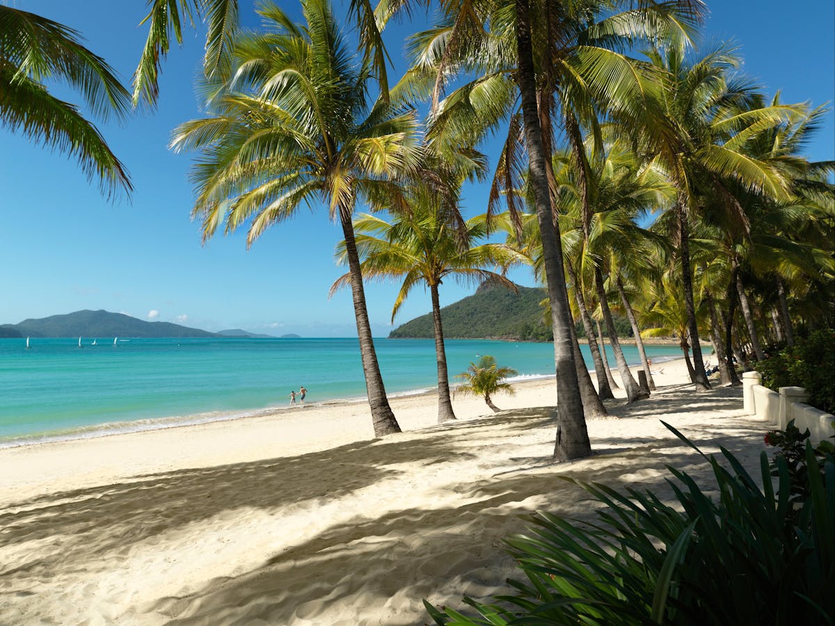 Catseye Beach Hamilton Island