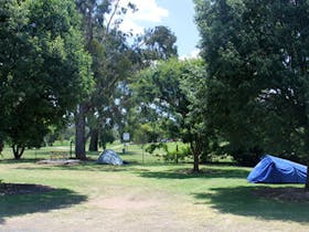 Grassed area surrounded by trees and tent on right