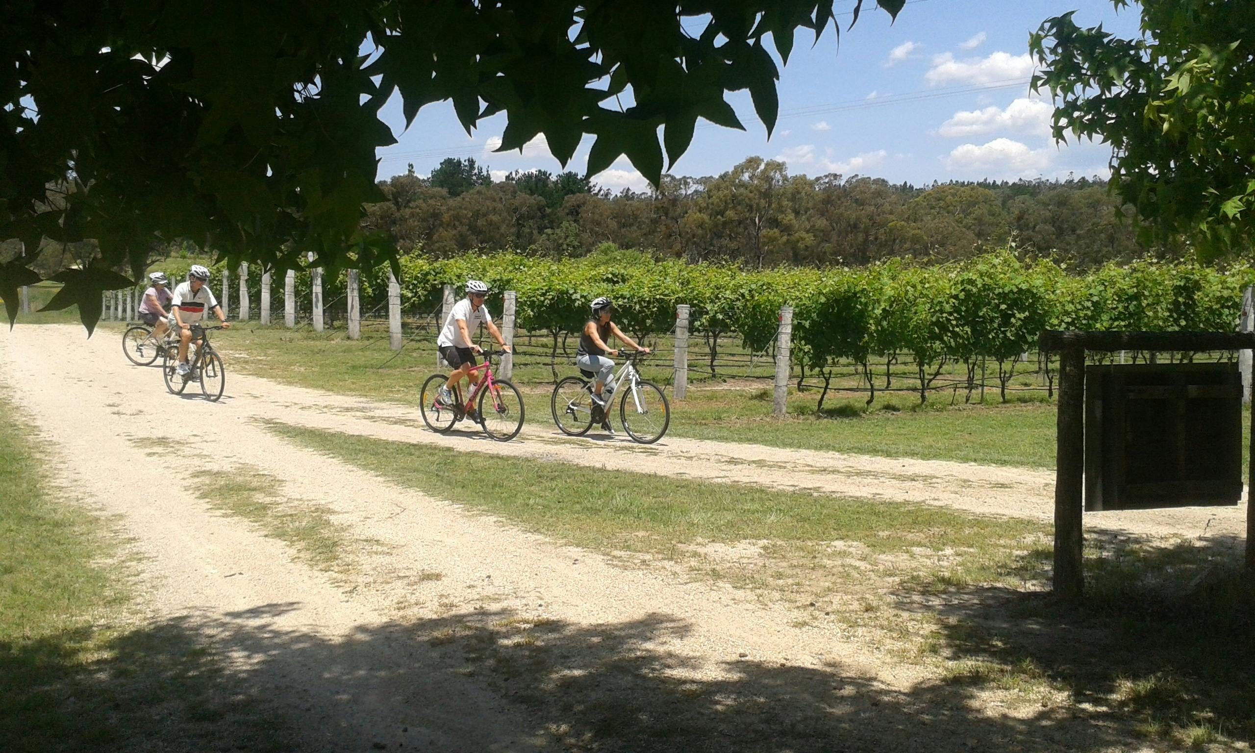 Granite Belt Bicycle Tours