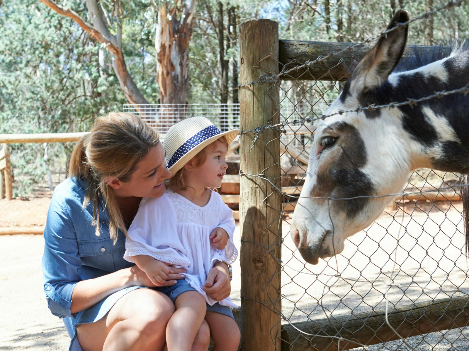 ミニ動物園、ワガワガ植物園