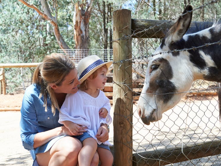 Mini Zoo, Wagga Wagga Botanic Gardens