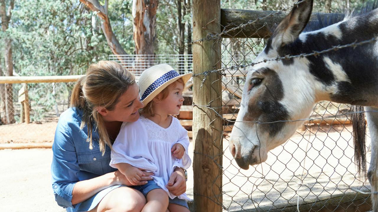 Mini Zoo, Wagga Wagga Botanic Gardens