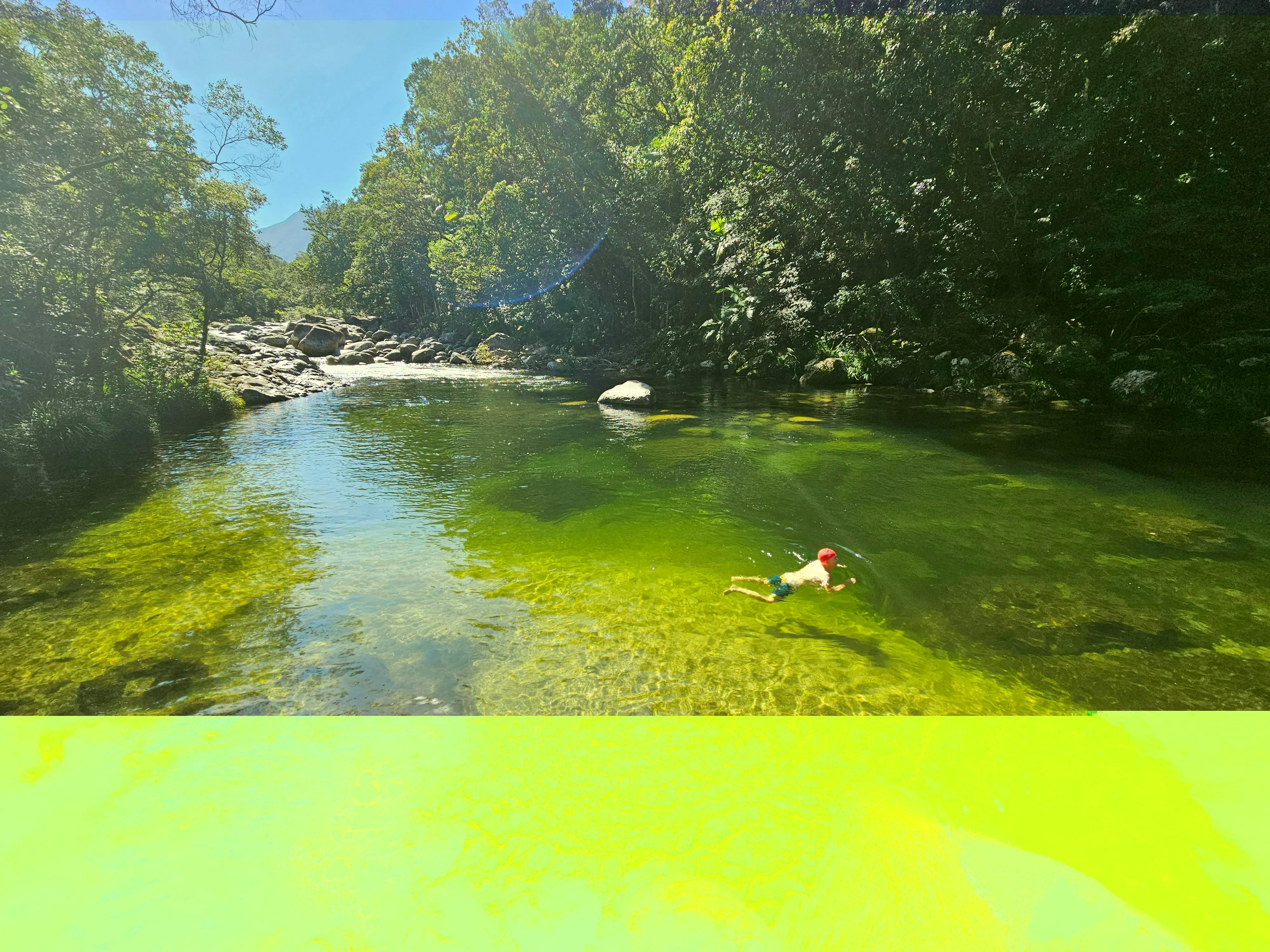 Swimming in the Daintree Rainforest