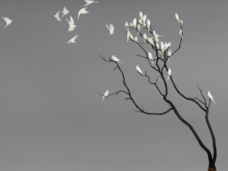 Leila Jeffreys, ‘Nature Is Not A Place To Visit. It Is Home.’, 2019