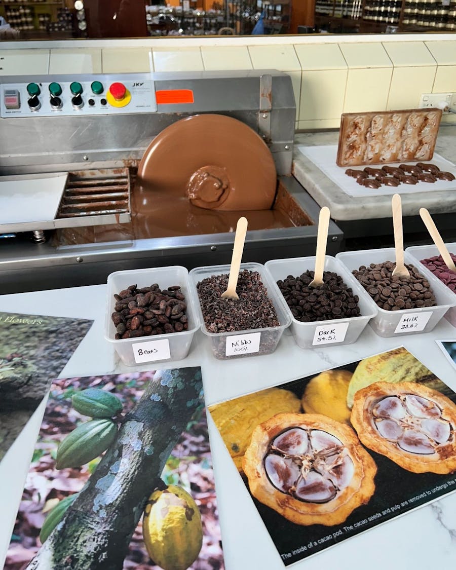 Chocolate Education. The Treat Factory.