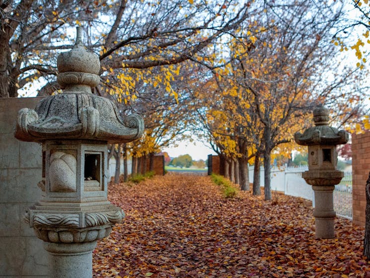 Australian, Indonesian and Japanese War Cemeteries