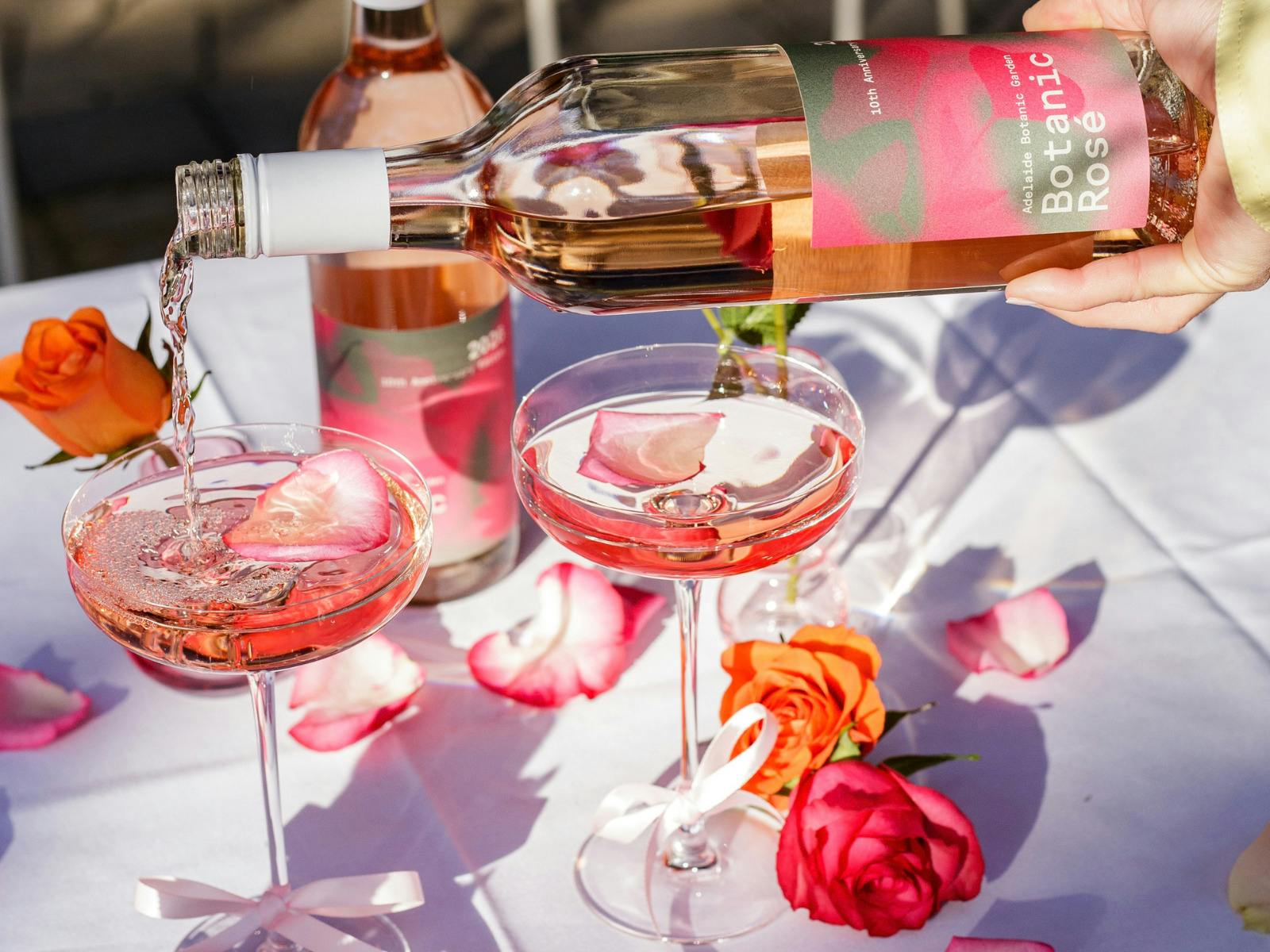 A hand pours pink botanical rosé into two coupe glasses among red roses and scattered petals