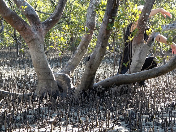 A still image of Angela among the mangrove trees. A still taken from a digital film.
