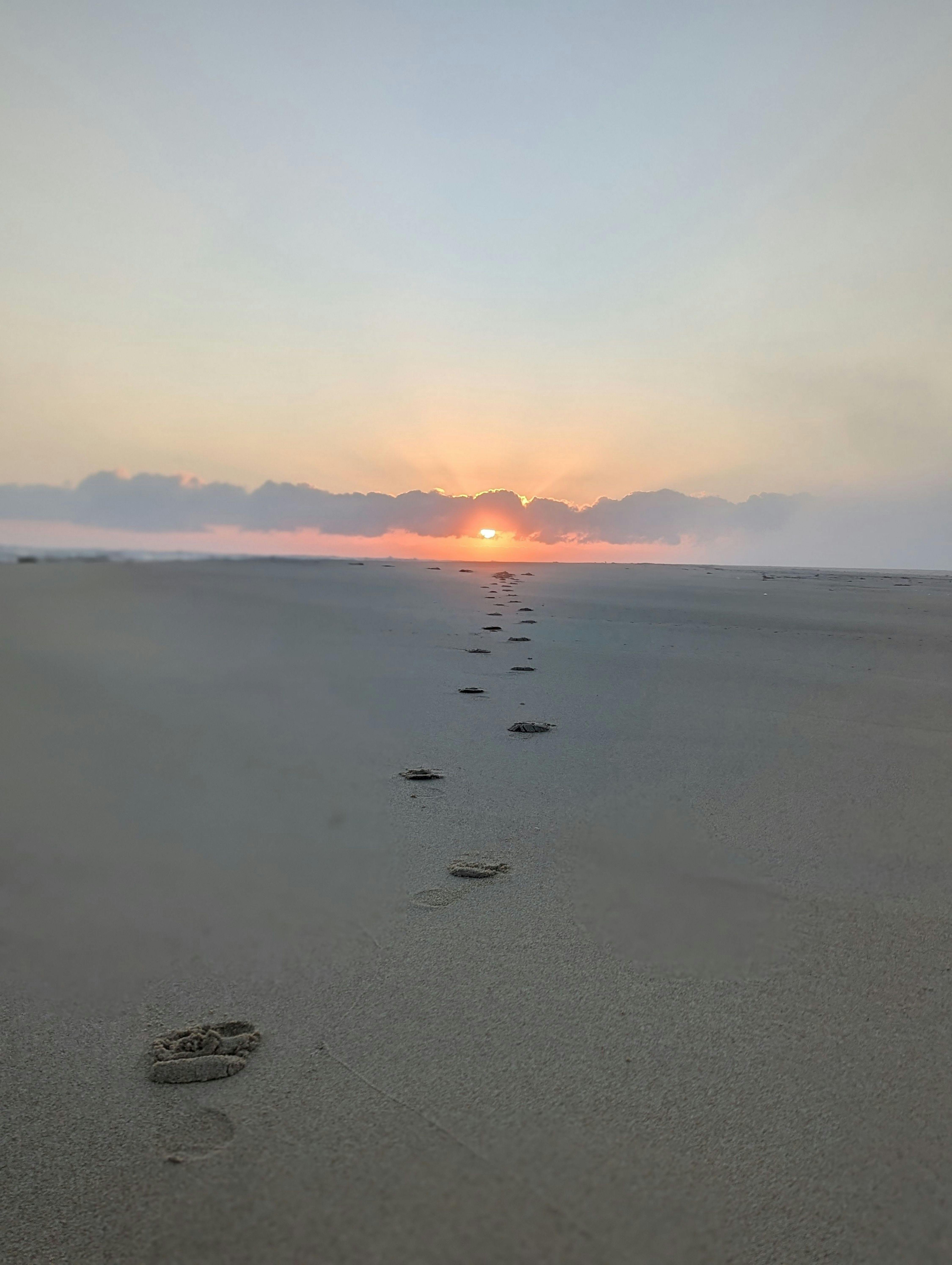 Magical sunrise  at Potato Point. It is breathtaking when the  sunrise and low tide dance  as one