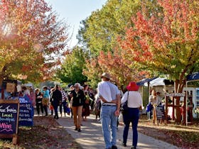 Moruya Country Market