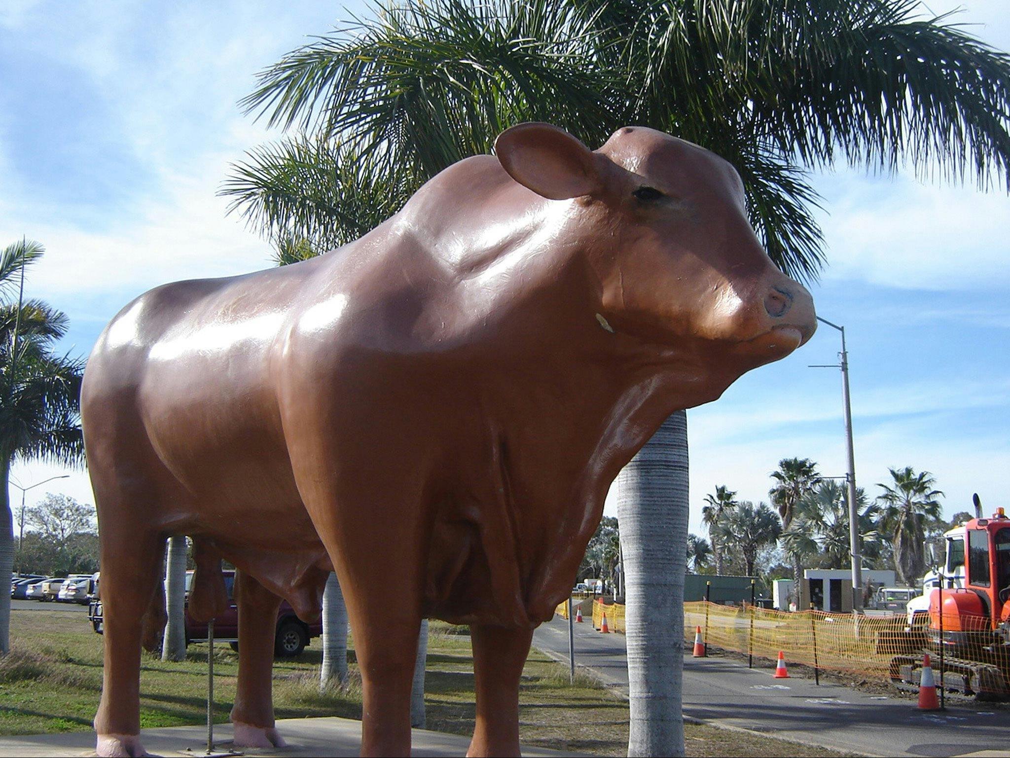 Rockhampton Bull Statues
