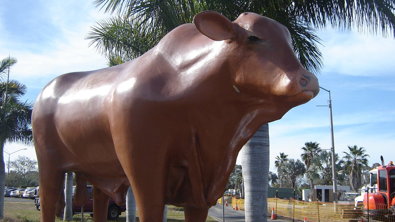Rockhampton Bull Statues