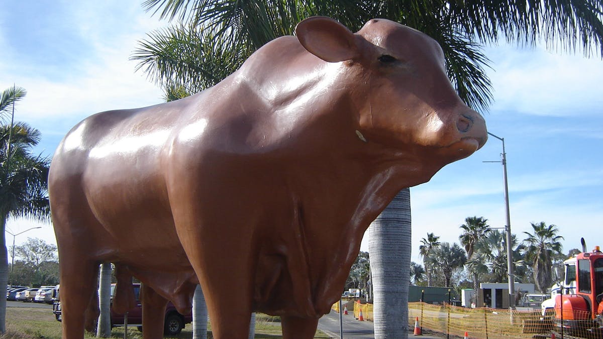 Rockhampton Rockhampton