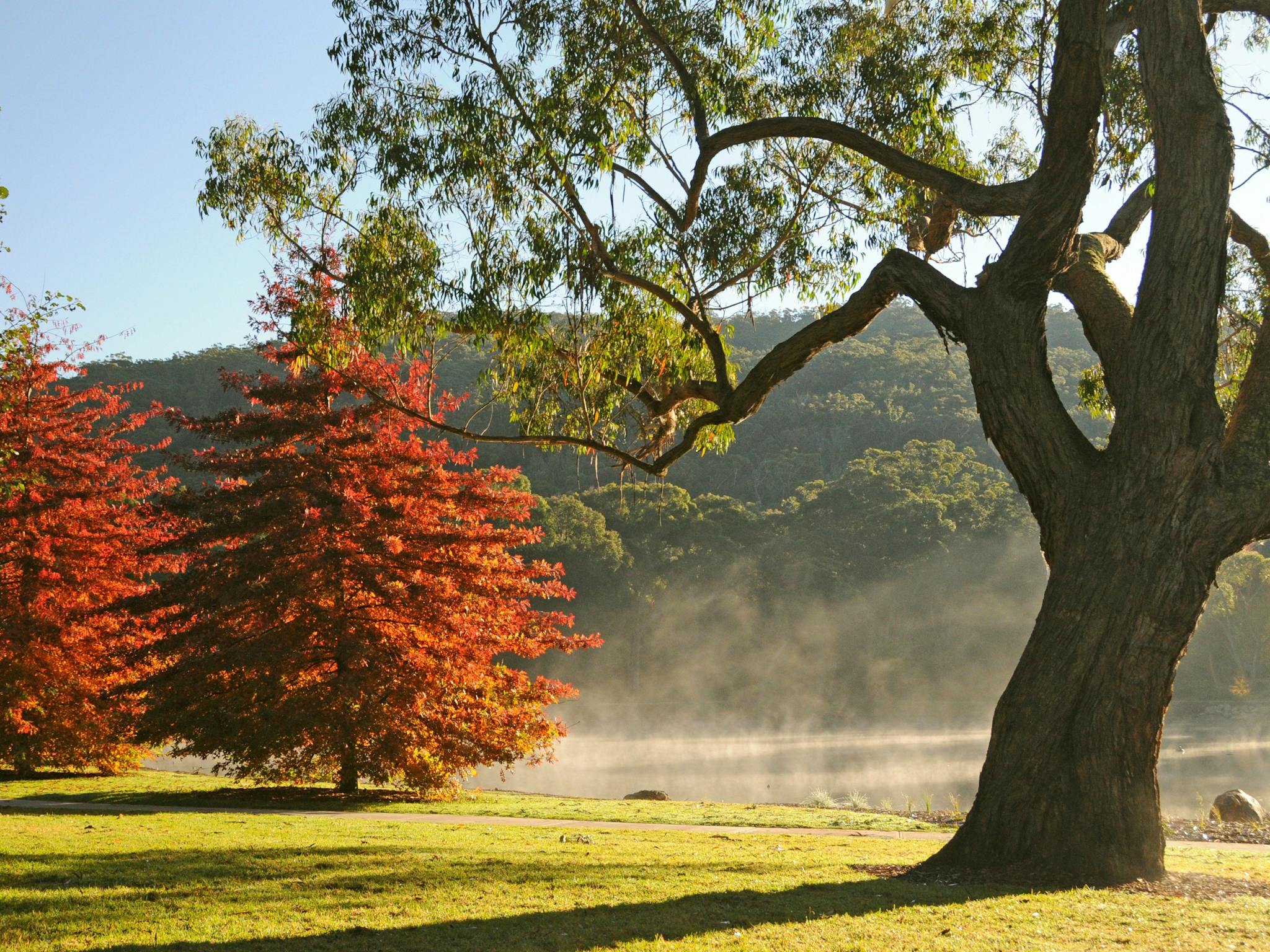 Lake Alexandra - Mittagong