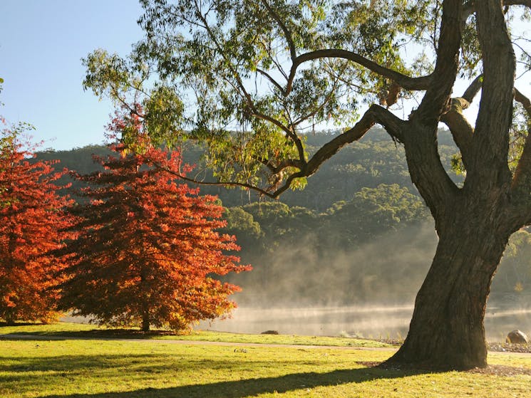 Lake Alexandra - Mittagong