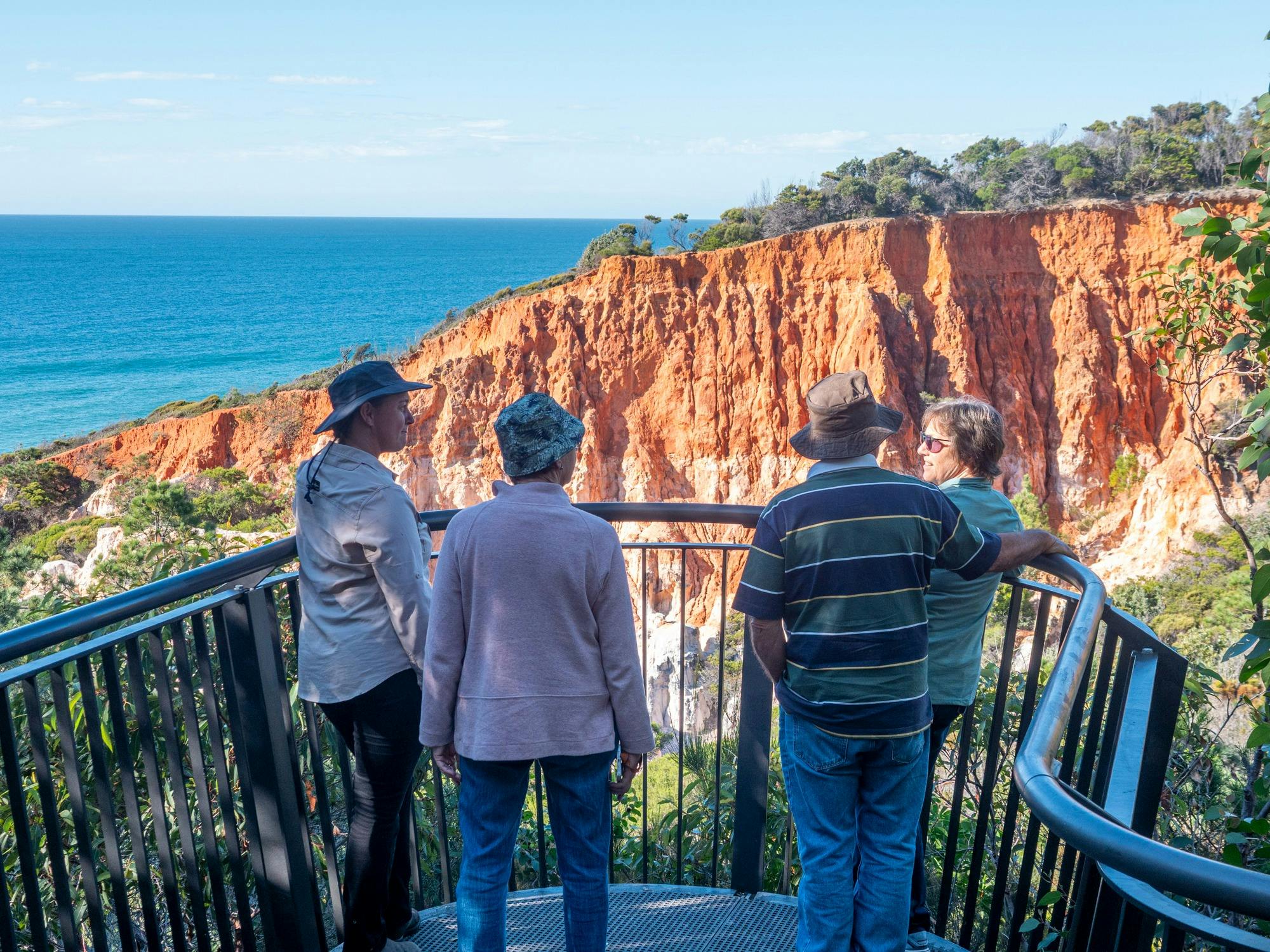 Guests and a guide standing amidst The Pinnacles rock formations, overlooking the national park.