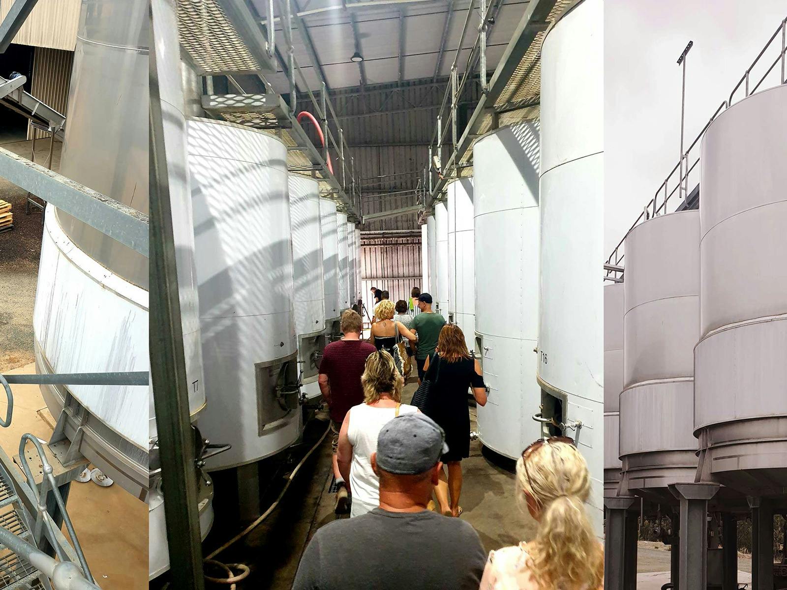 Echuca Moama winery tours