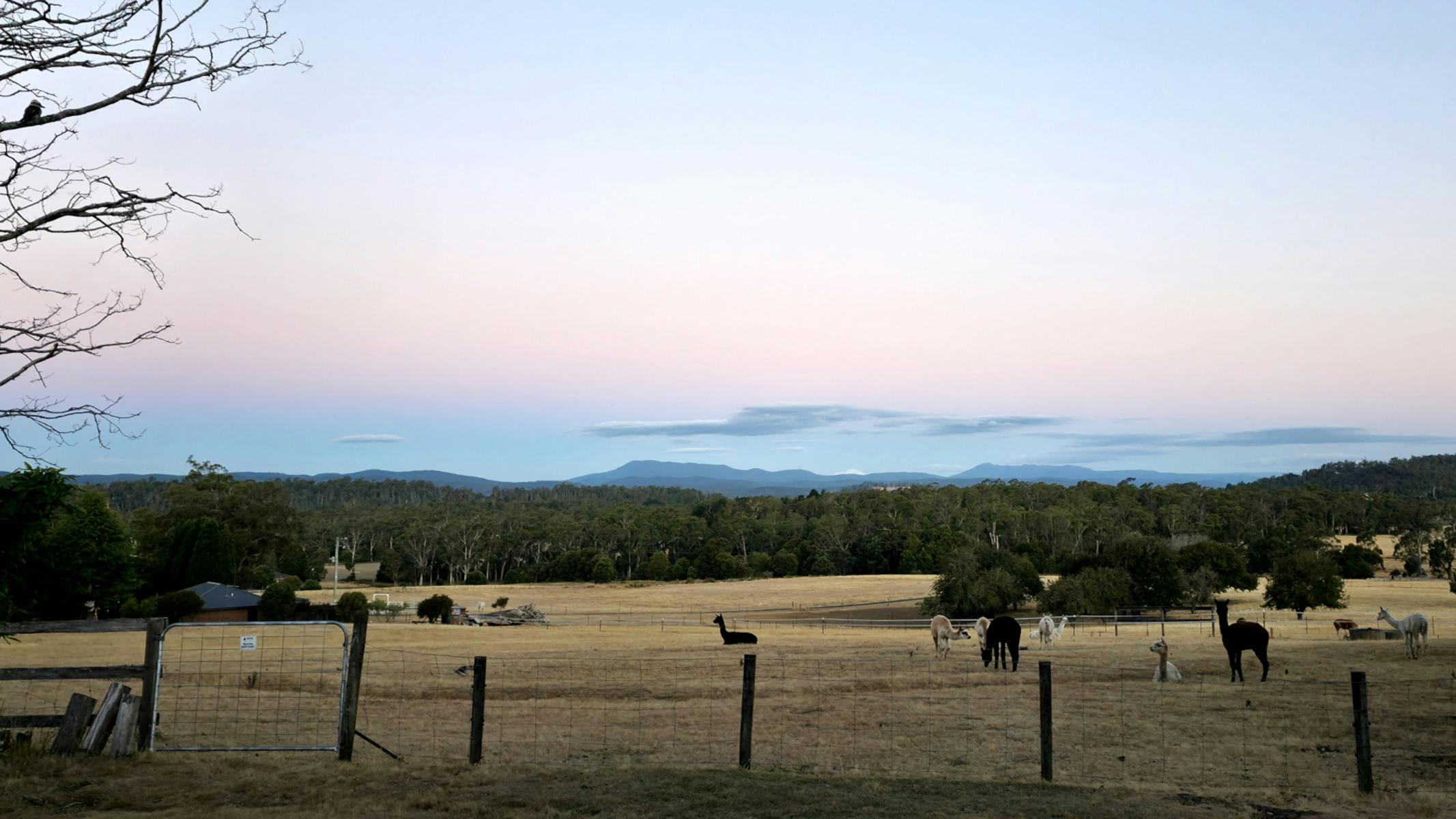 View of the paddocks