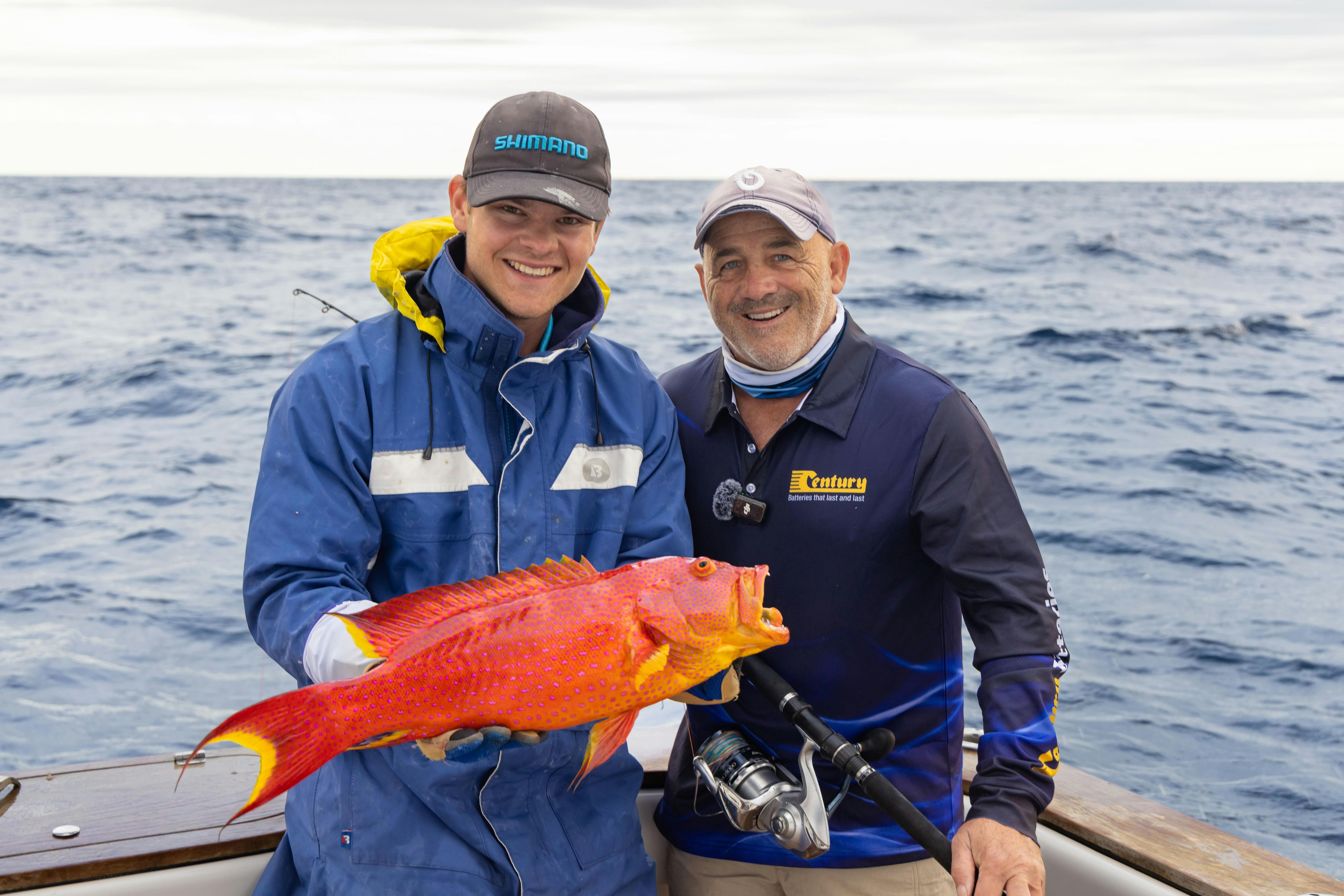 Coral trout