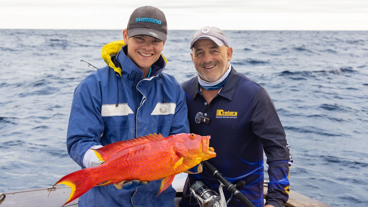 Coral trout