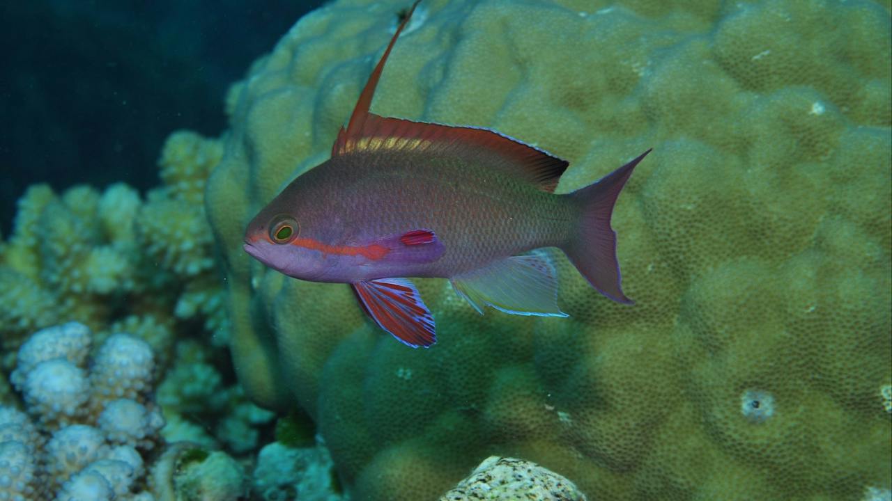 Around The Bend Dive Site