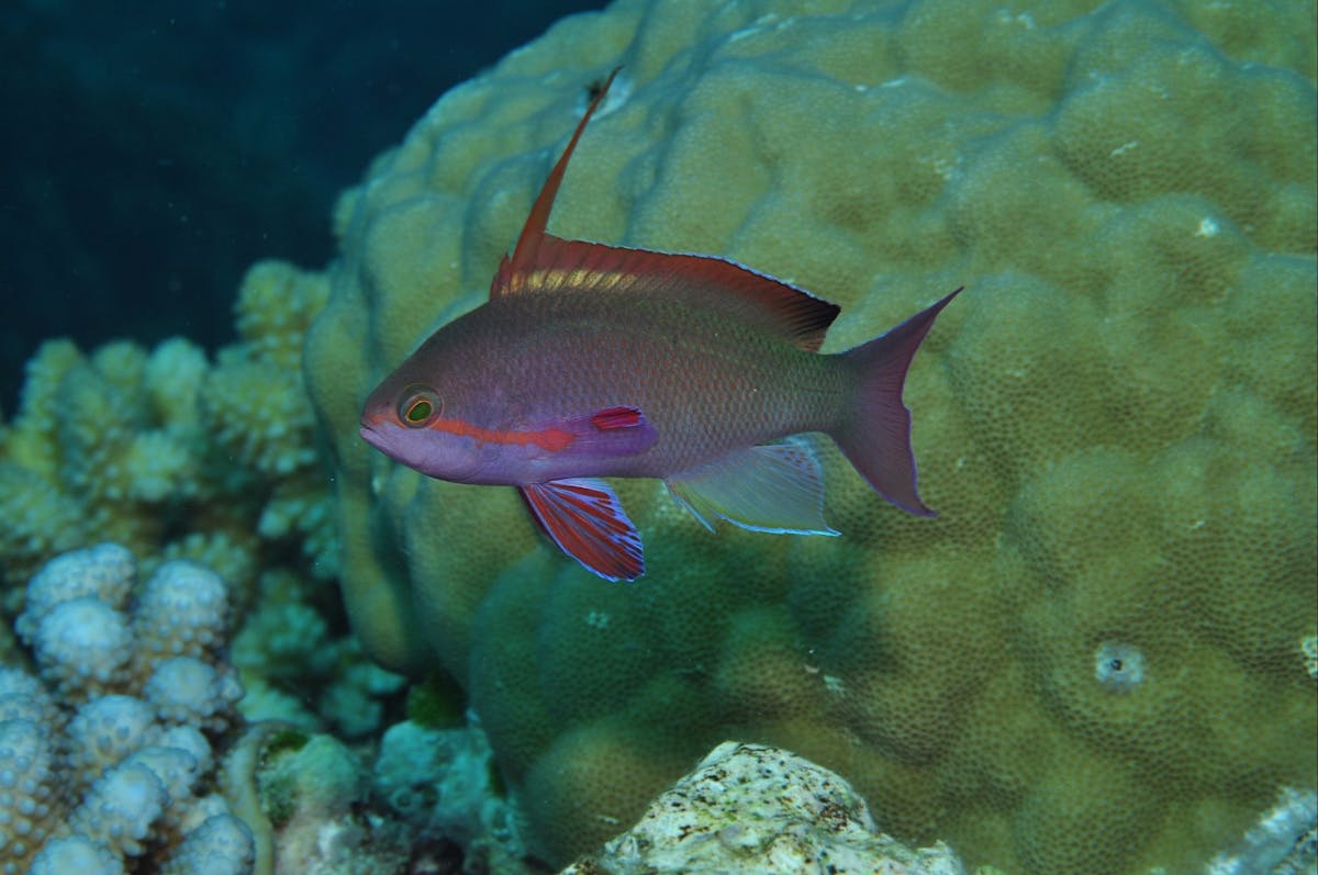 Around The Bend Dive Site