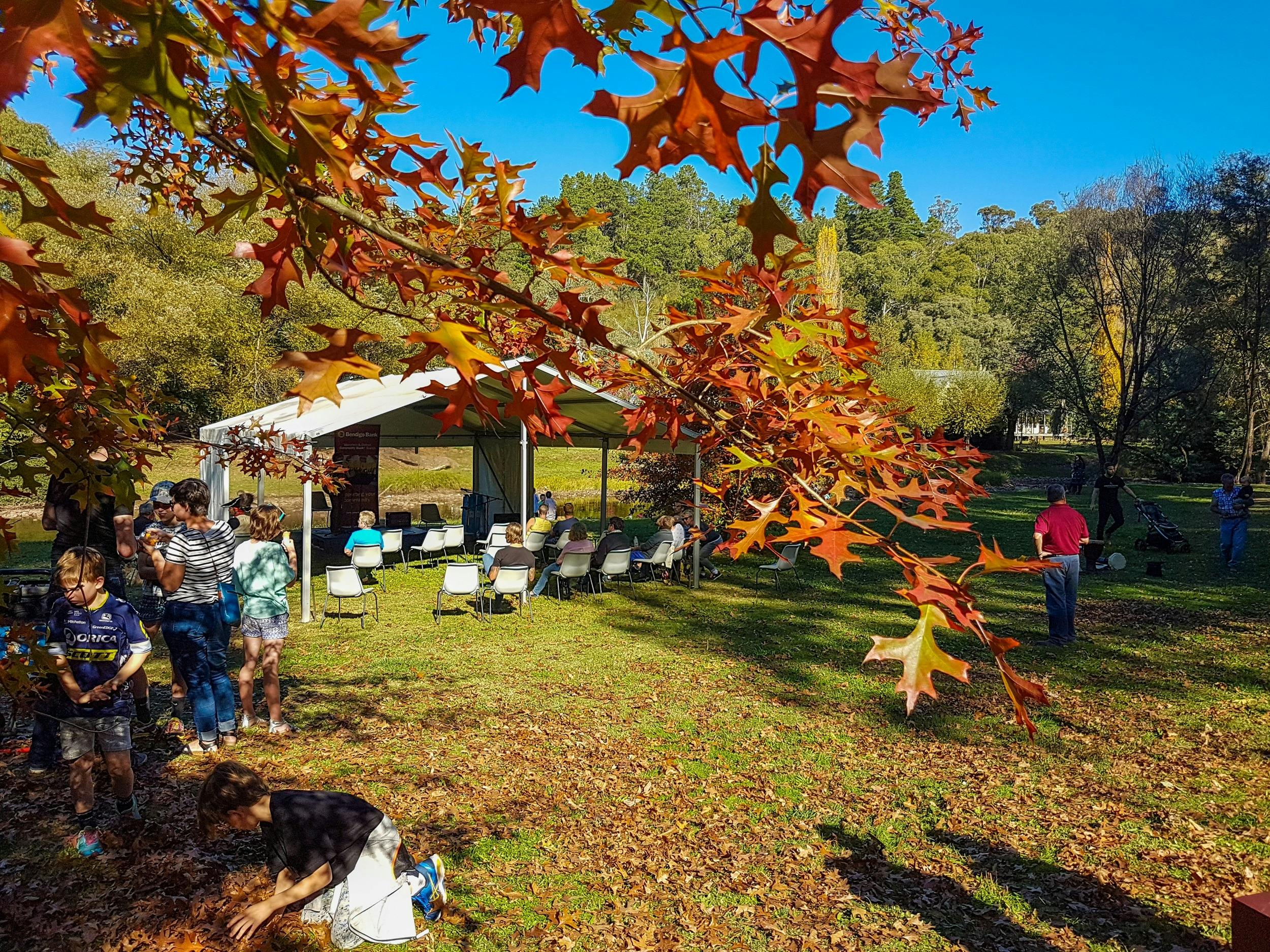 River Stage and Autumn Trees